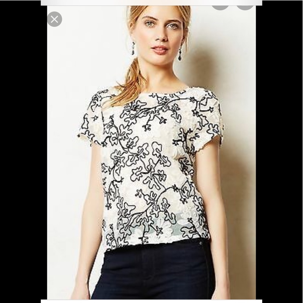 🌸 3/$25 Anthropologie mesh embroidered ribbon top